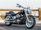 2014 Harley-Davidson Harley Davidson FLSTN Softail Deluxe